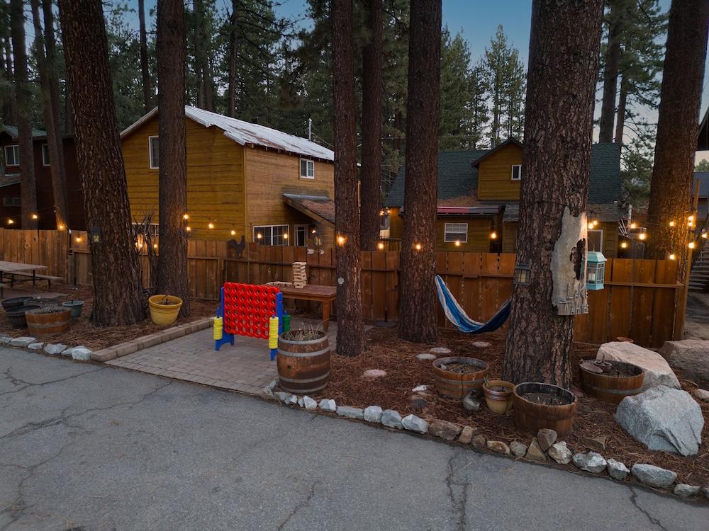 Alder Inn photo 63