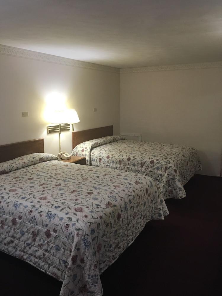 Grapevine Inn photo 5