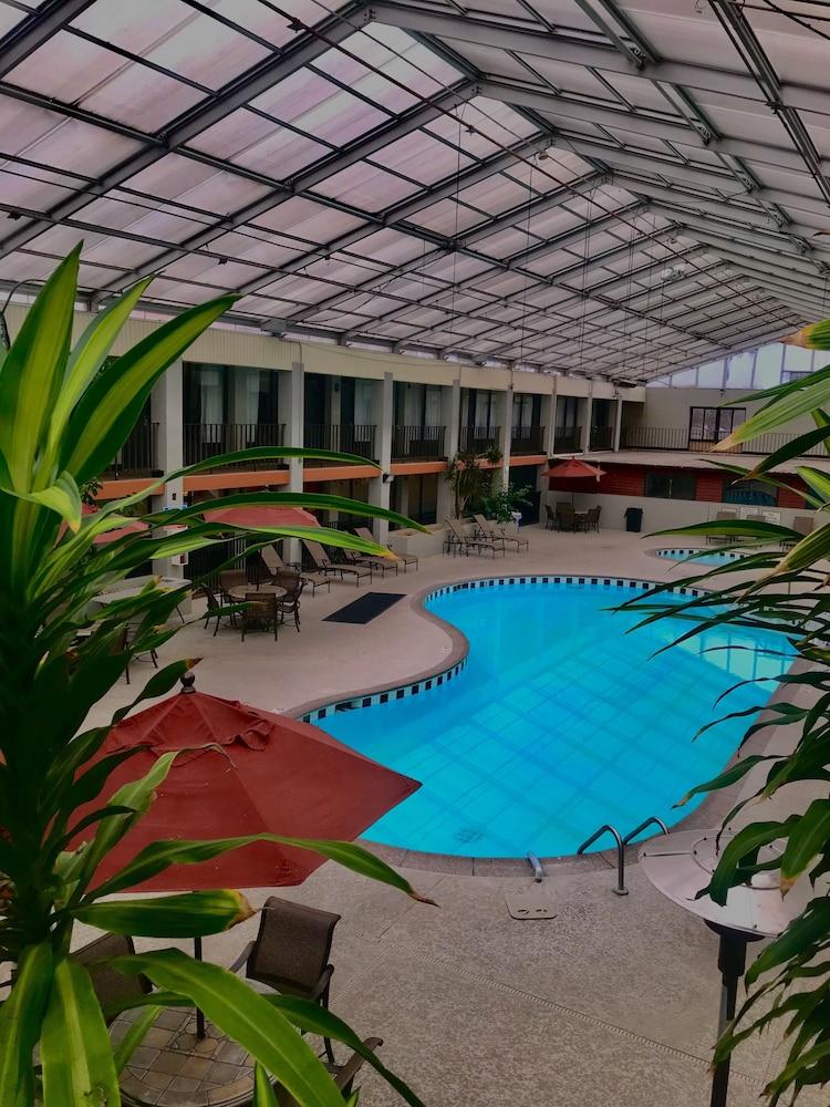 VetteCity Hotel photo 2