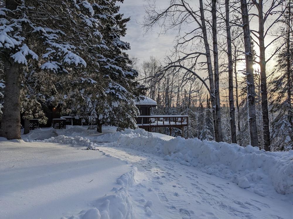 Rustic Woodland Lodge photo 11