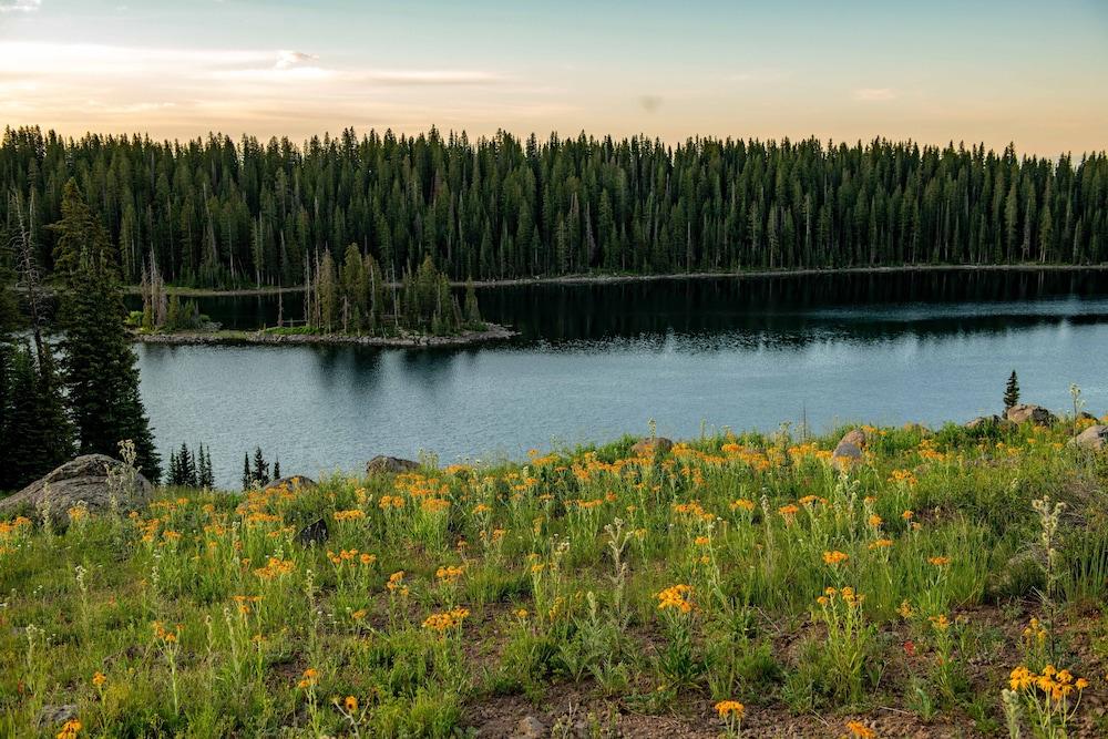 Grand Mesa Lodge photo 90