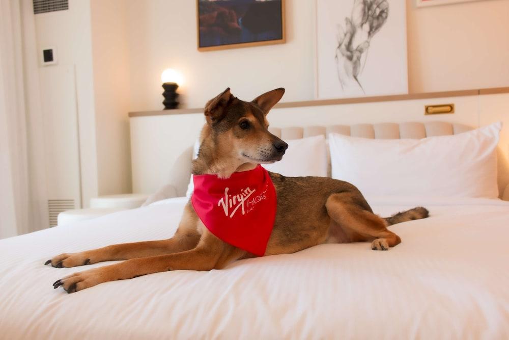 Virgin Hotel Las Vegas, Curio Collection by Hilton photo 17