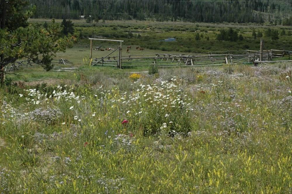 Lava Mountain Lodge photo 9