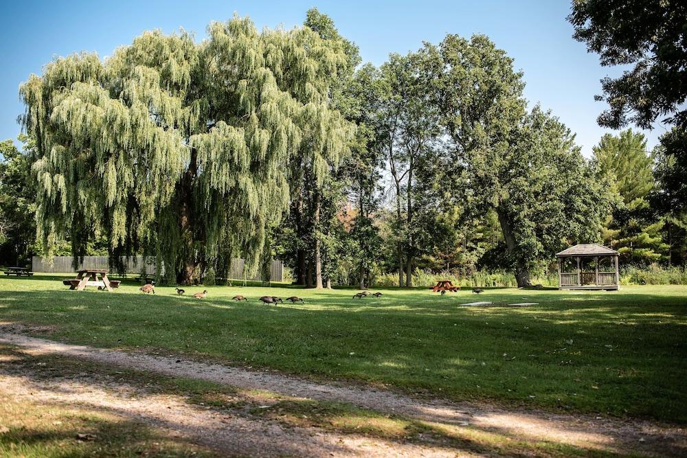 Capt.'s Inn & Suites photo 5