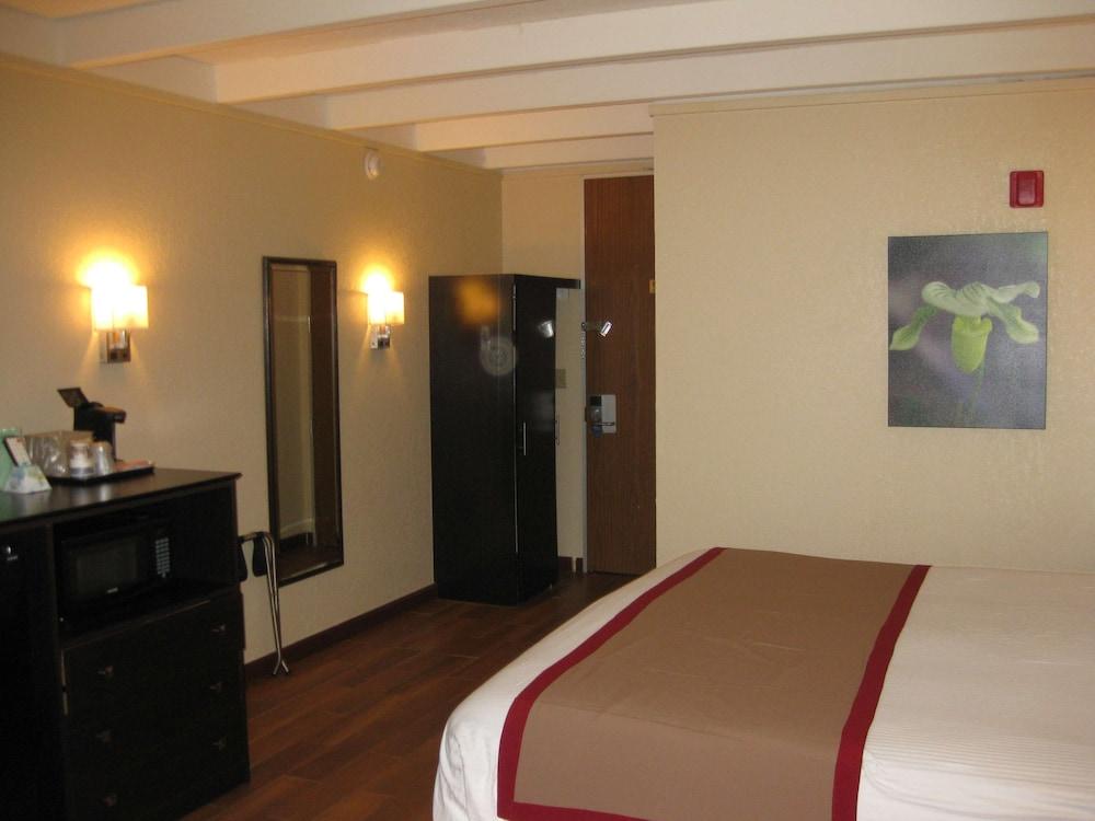 Best Western Orlando West photo 8