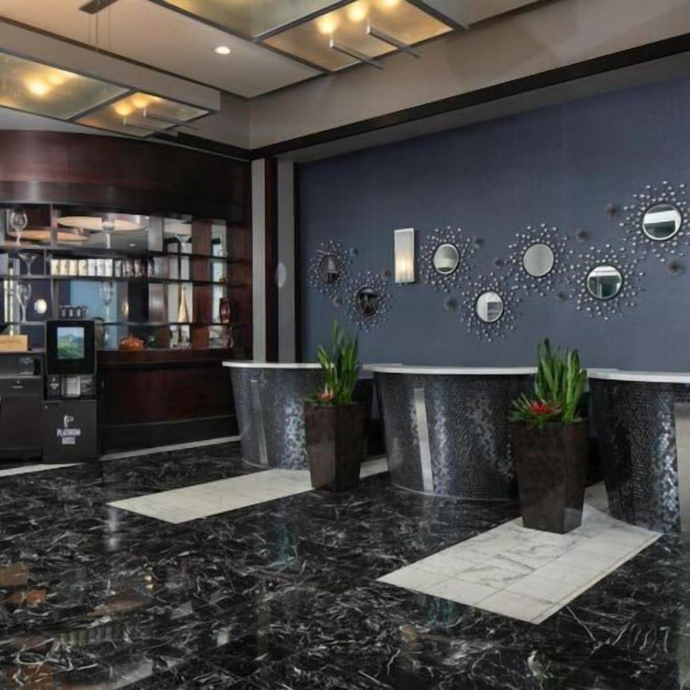 StripViewSuites at Platinum photo 6