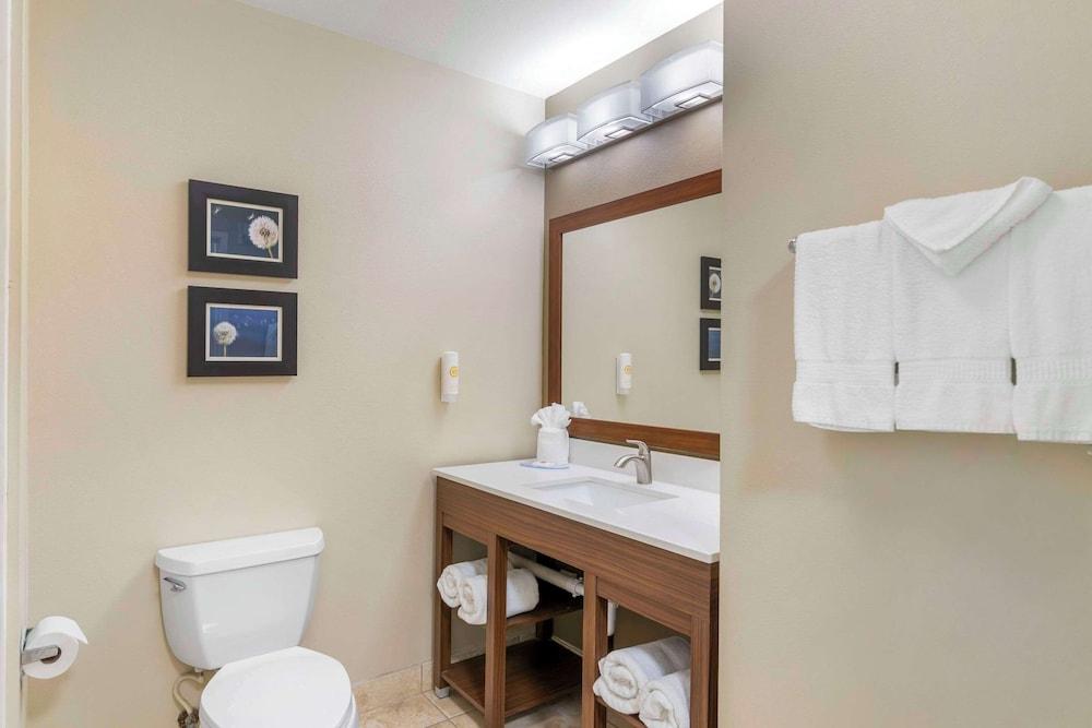 Comfort Inn & Suites Tifton photo 14
