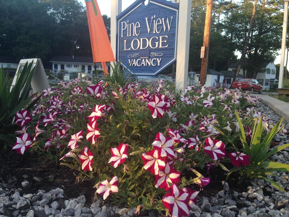 Pine View Lodge photo 22