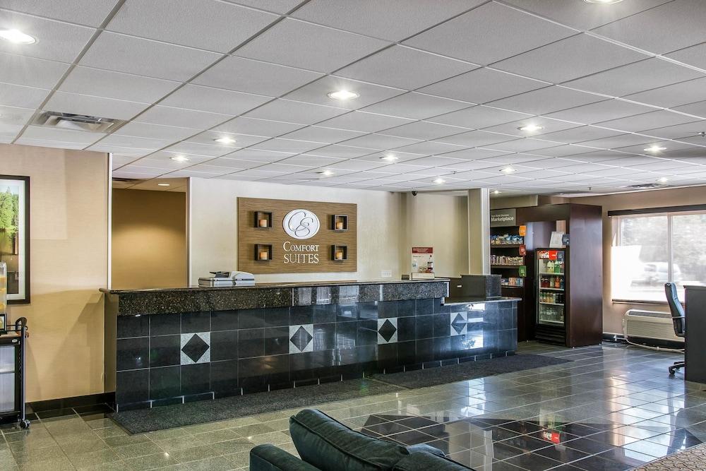 Comfort Suites Wixom - Novi photo 4