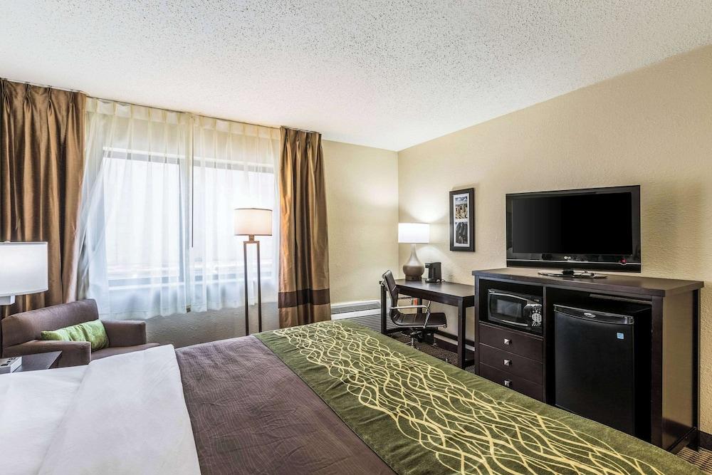 Comfort Inn Detroit Downtown photo 22