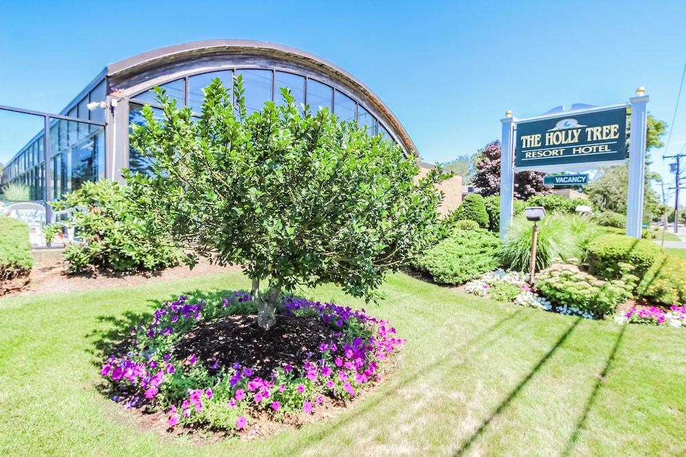Holly Tree Resort photo 21