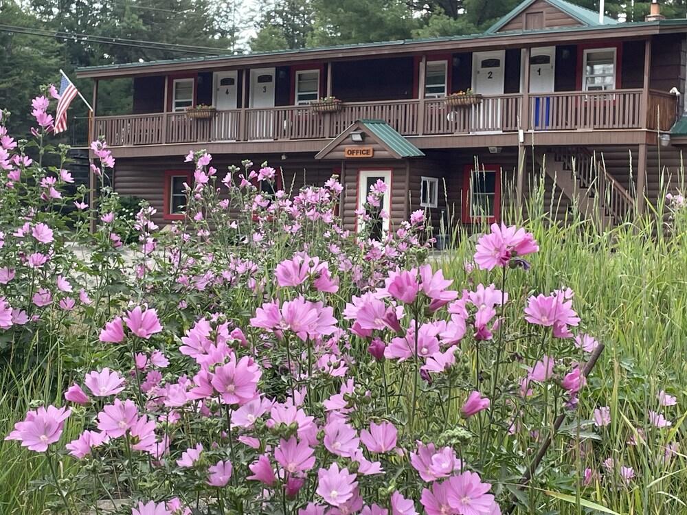Mountain View Motel & Campground photo 12