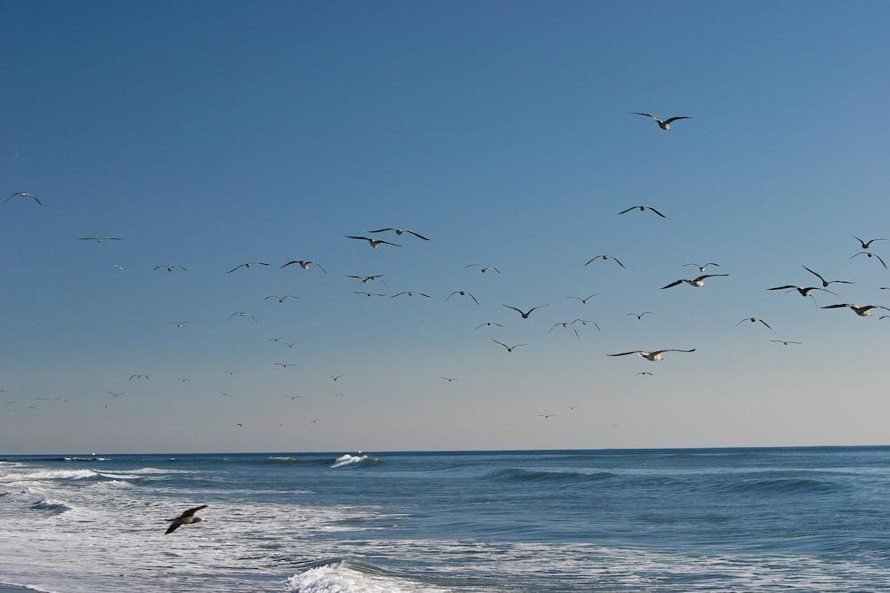 Holiday Inn Express & Suites Carpinteria by IHG photo 42