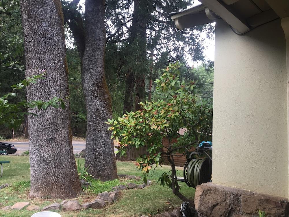 Dunsmuir Lodge photo 75