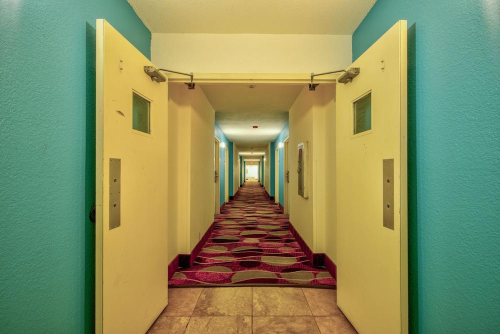 Clearwater Hotel photo 86