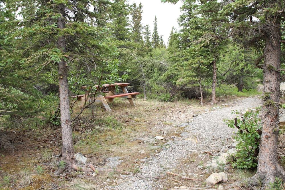 Denali RV Park and Motel photo 37