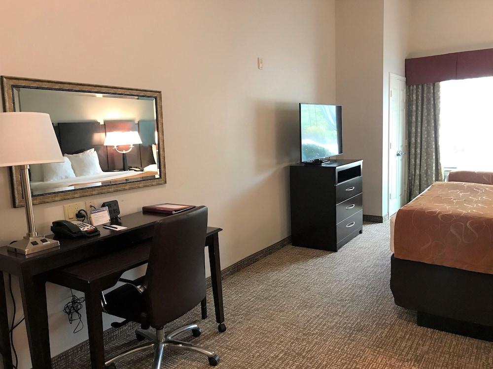 Comfort Suites Bay City East photo 6