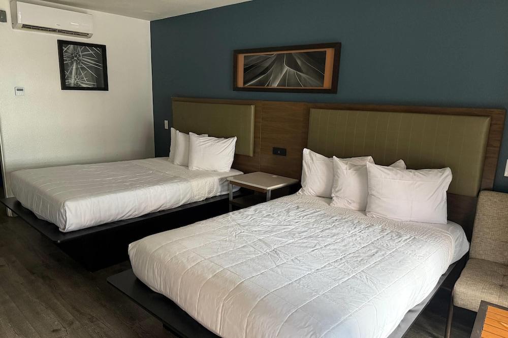 DTLV, a Baymont by Wyndham photo 6