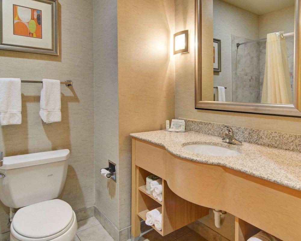 Comfort Suites Lindale - Tyler North photo 4