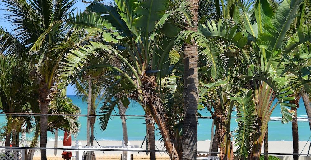 Hollywood by the Sea Hotel photo 46