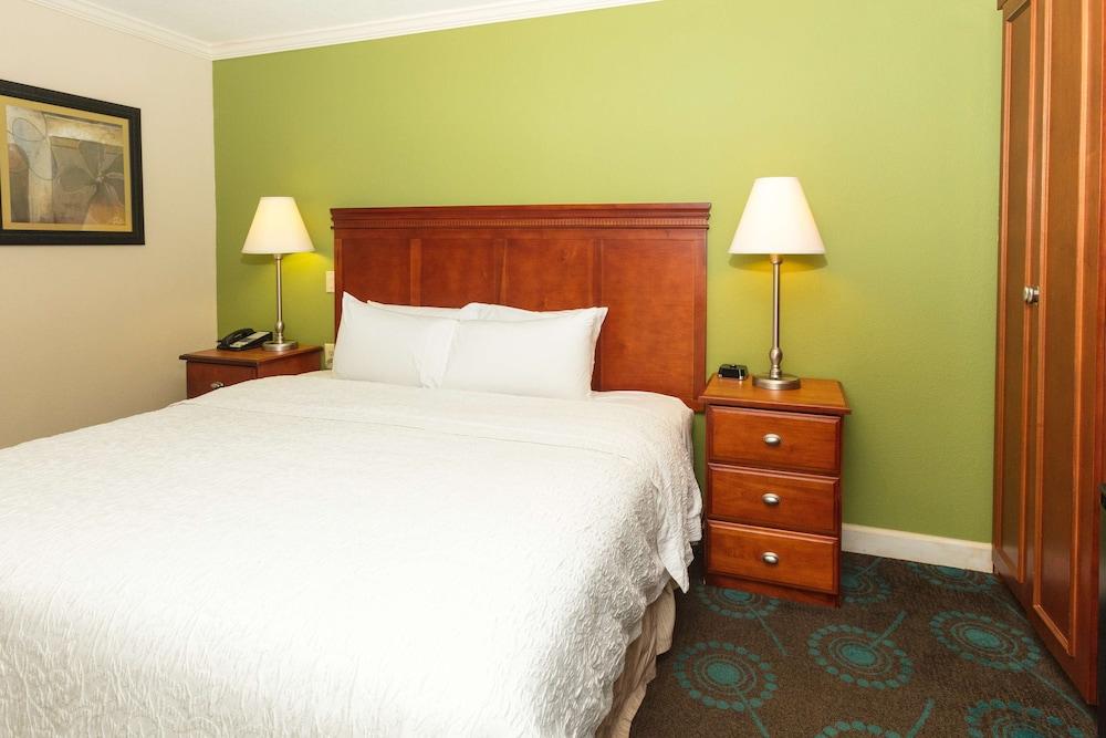 Hampton Inn Daytona Speedway photo 23