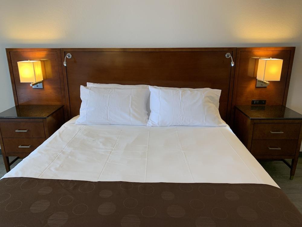 The Retro Hotel photo 6
