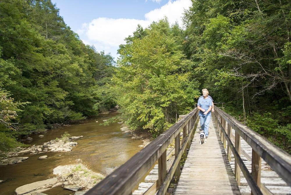 Pine Mountain State Resort Park photo 13