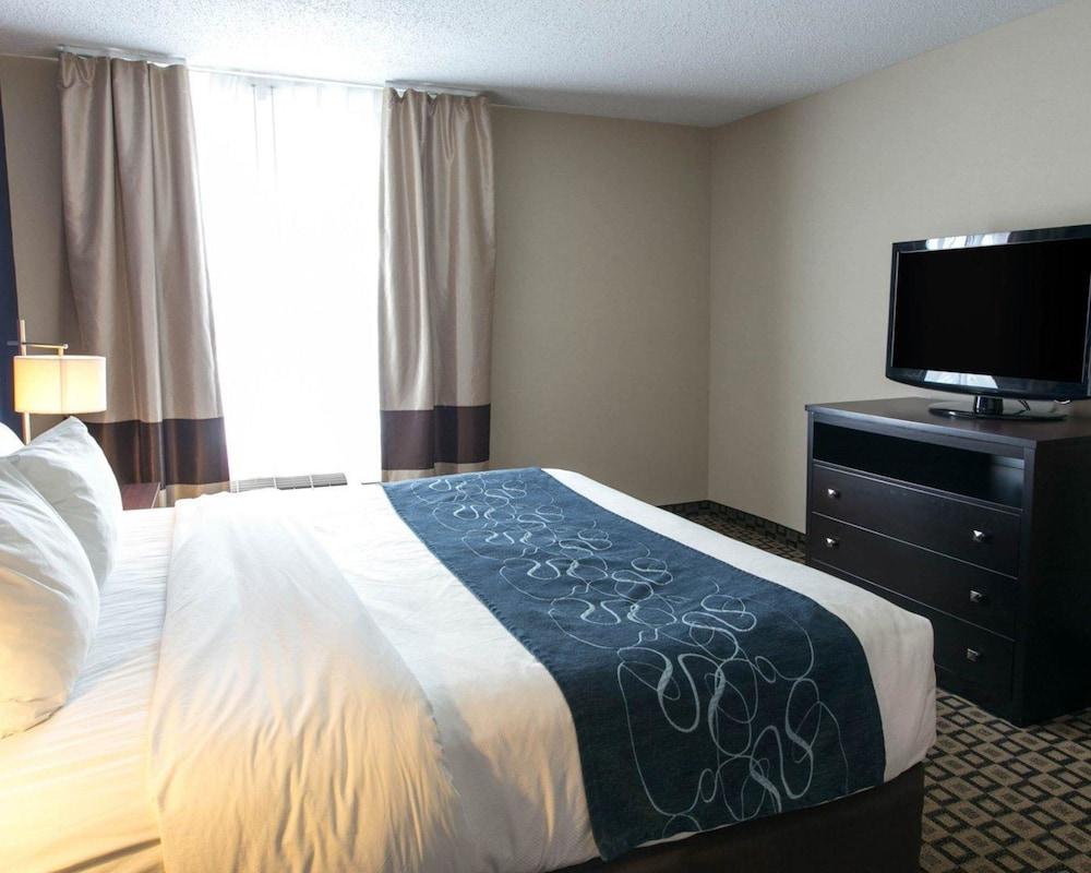 Comfort Suites Benton Harbor - St. Joseph photo 8