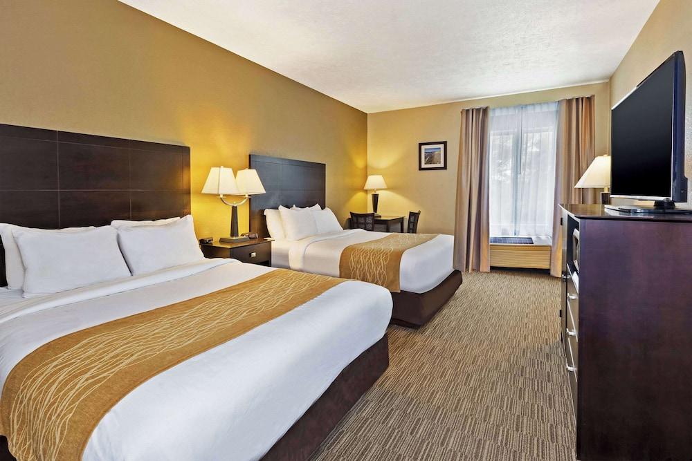 Comfort Inn Whitehall near Michigan's Adventure photo 13
