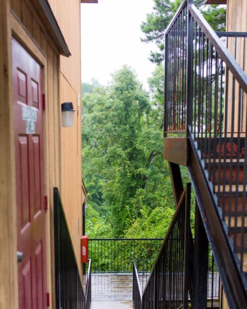 The Razorback Lodge photo 40