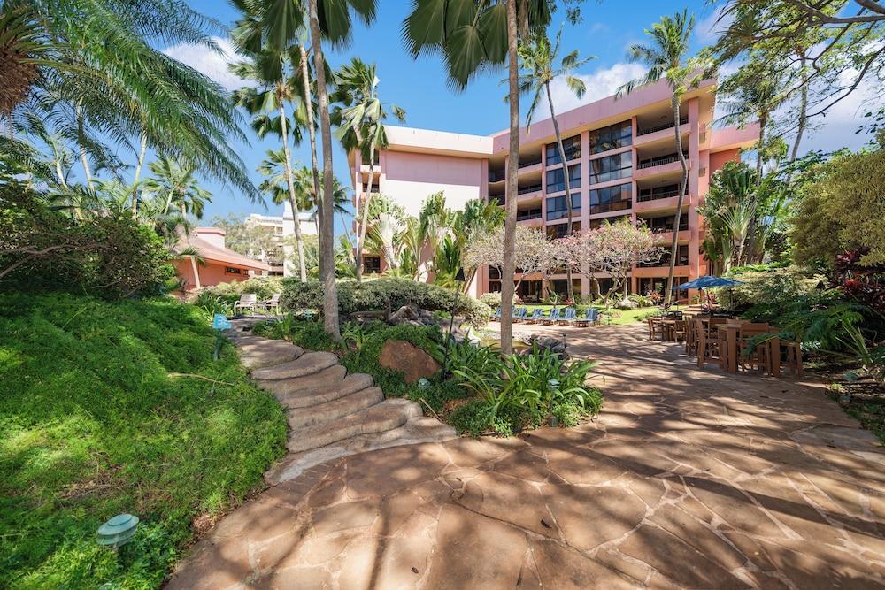 Petite Retreat at Kahana Falls photo 4