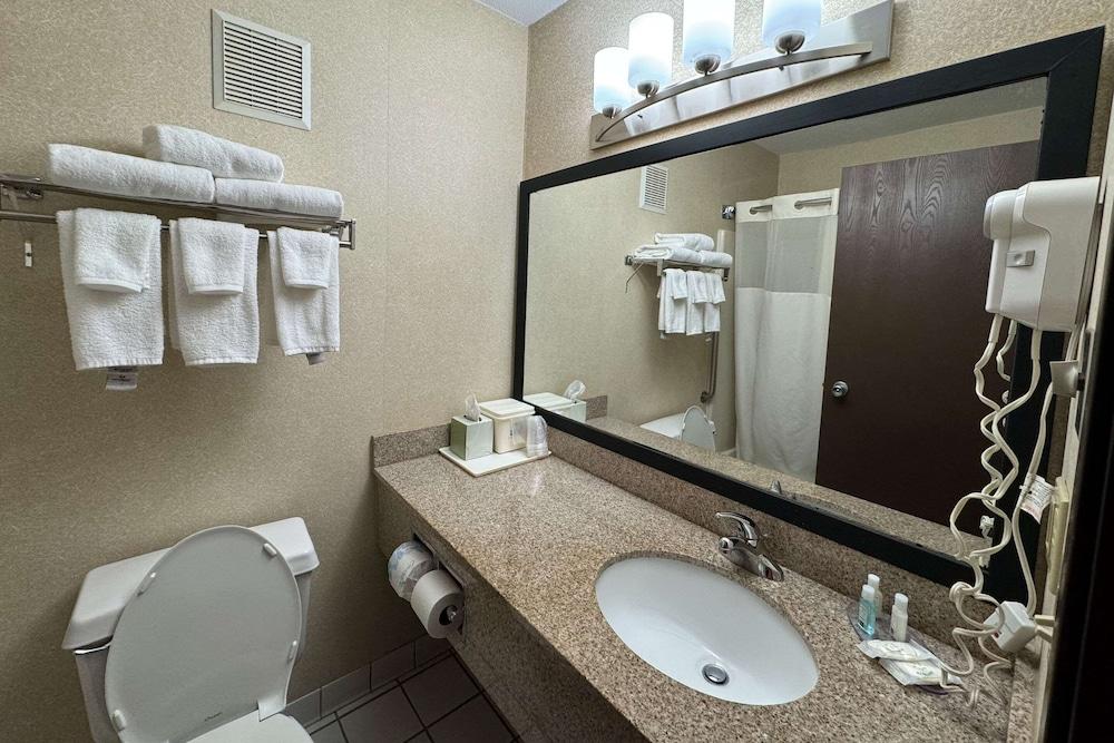 Quality Inn Forsyth - Decatur photo 29