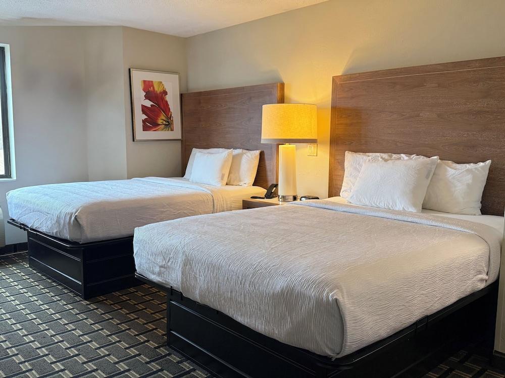 Edn Hotel photo 3