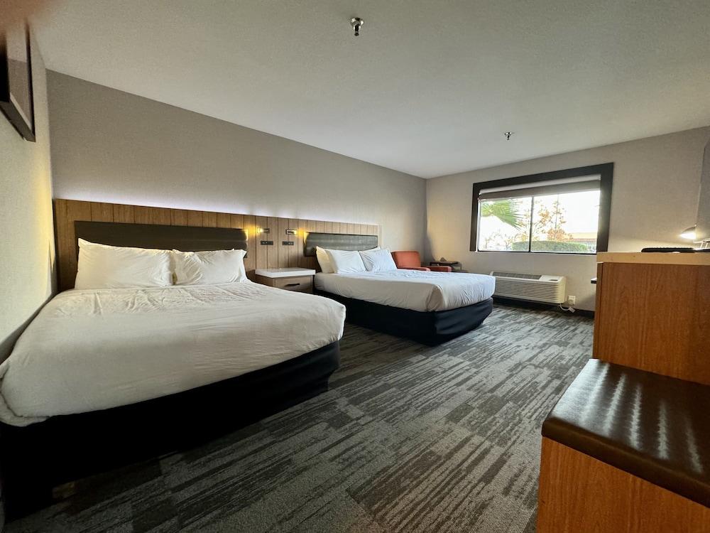 Modesto Hotel photo 37