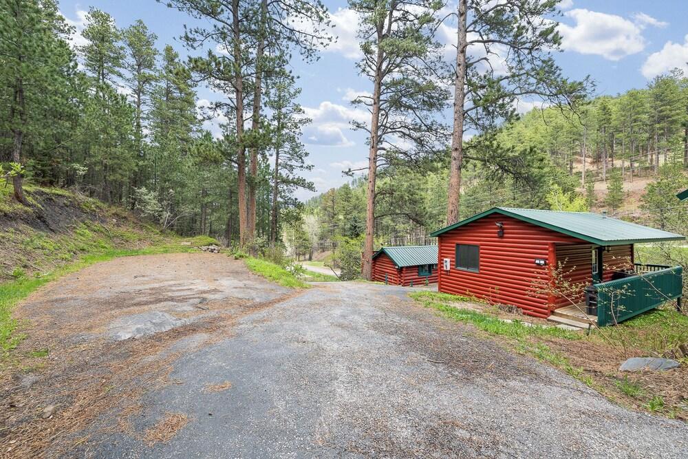 Ponderosa Pines photo 32