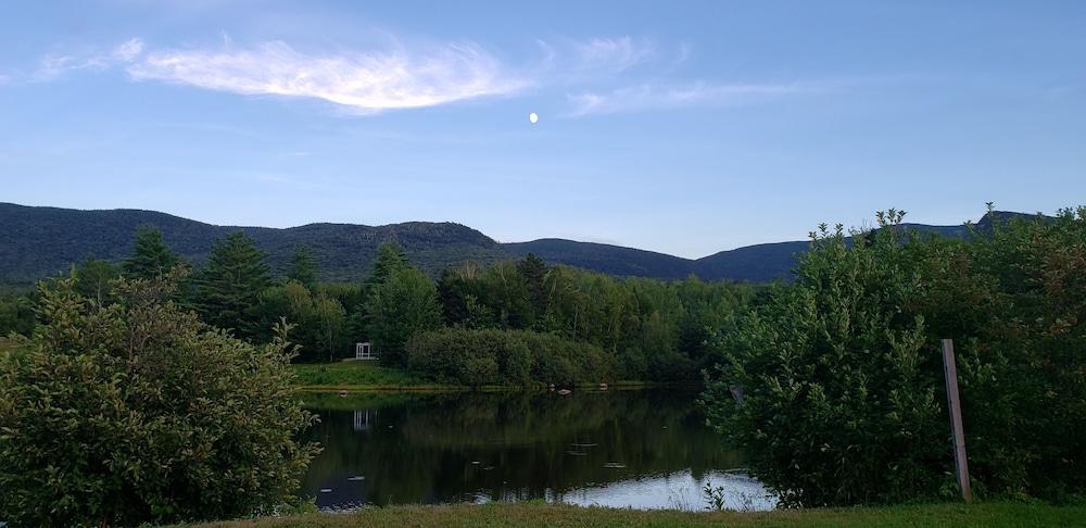 Black Bear Lodge photo 13