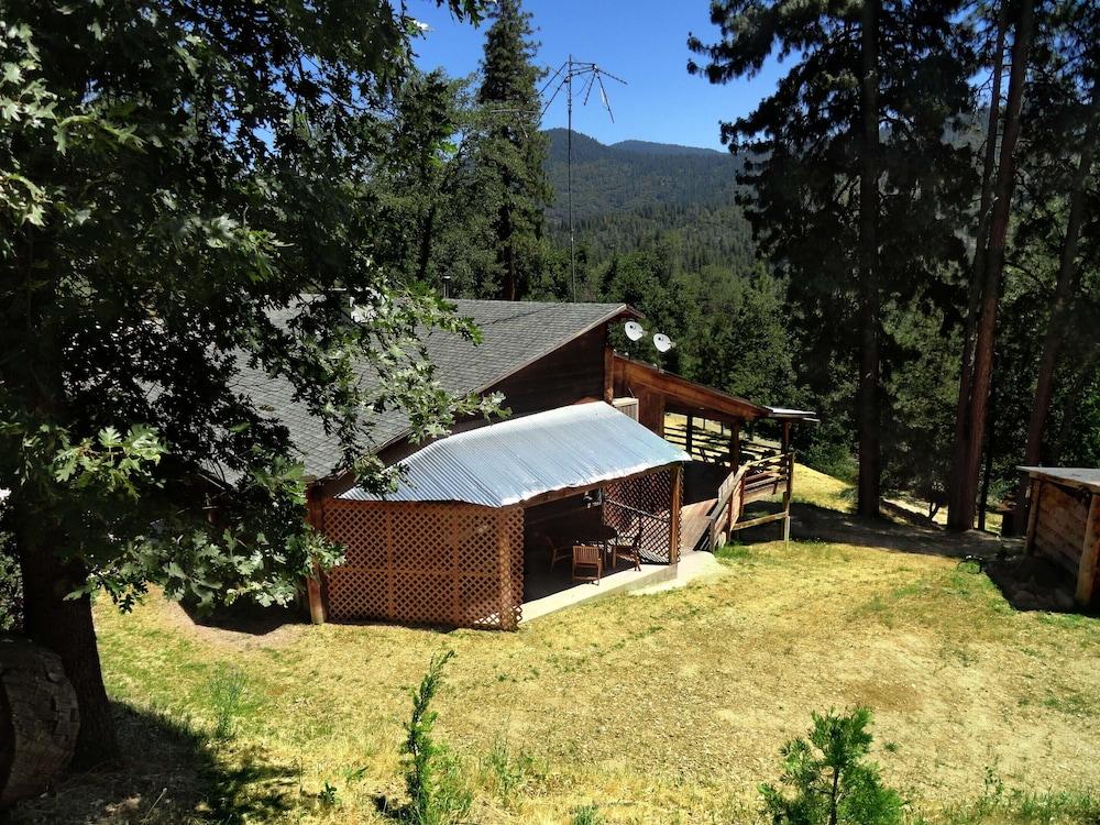 Evergreen Haus photo 80