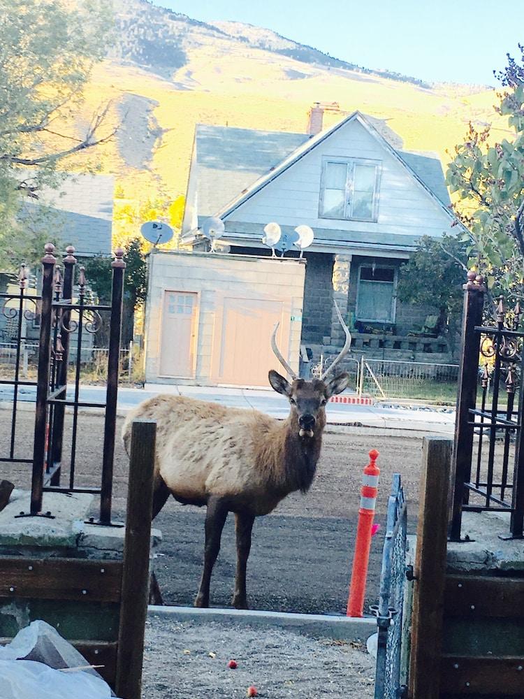Park Hotel Yellowstone photo 50