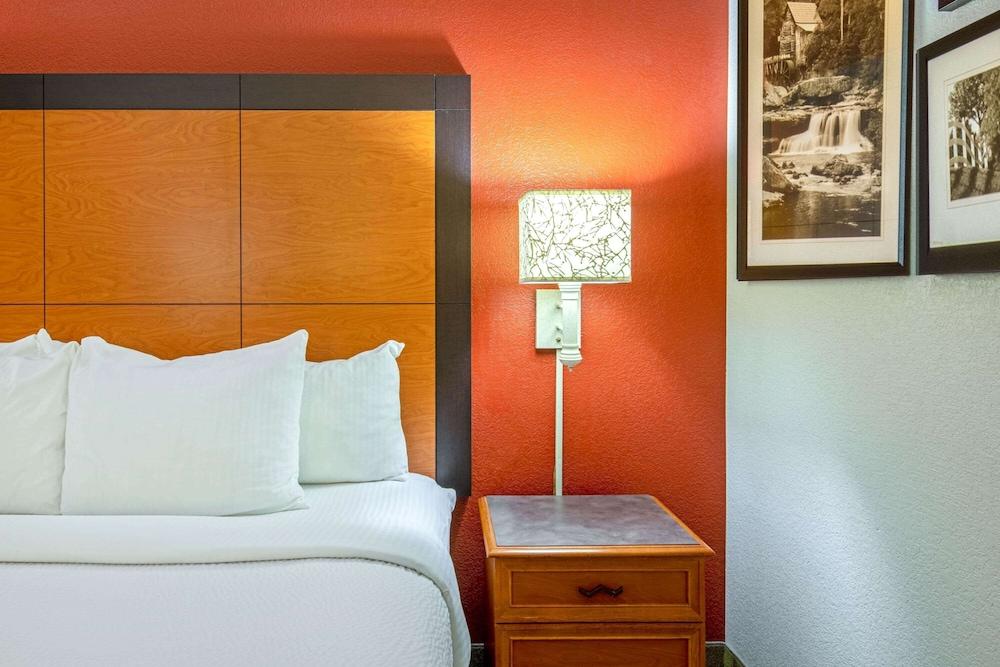 La Quinta Inn & Suites by Wyndham Sherman photo 8
