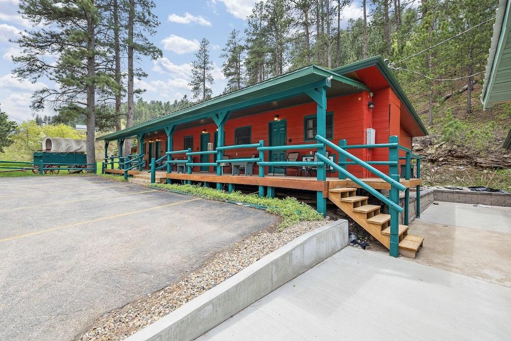 Ponderosa Pines photo 67