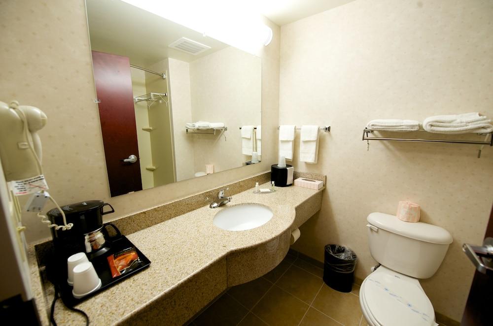 Executive Inn And Suites photo 29