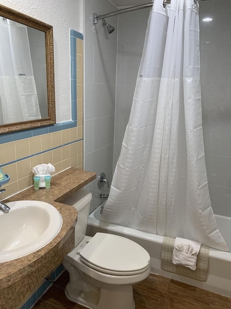 Dolphin Inn photo 5