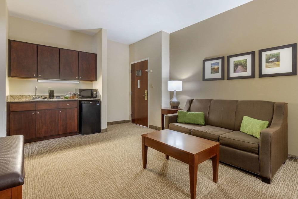 Comfort Suites Johnson City near University photo 47