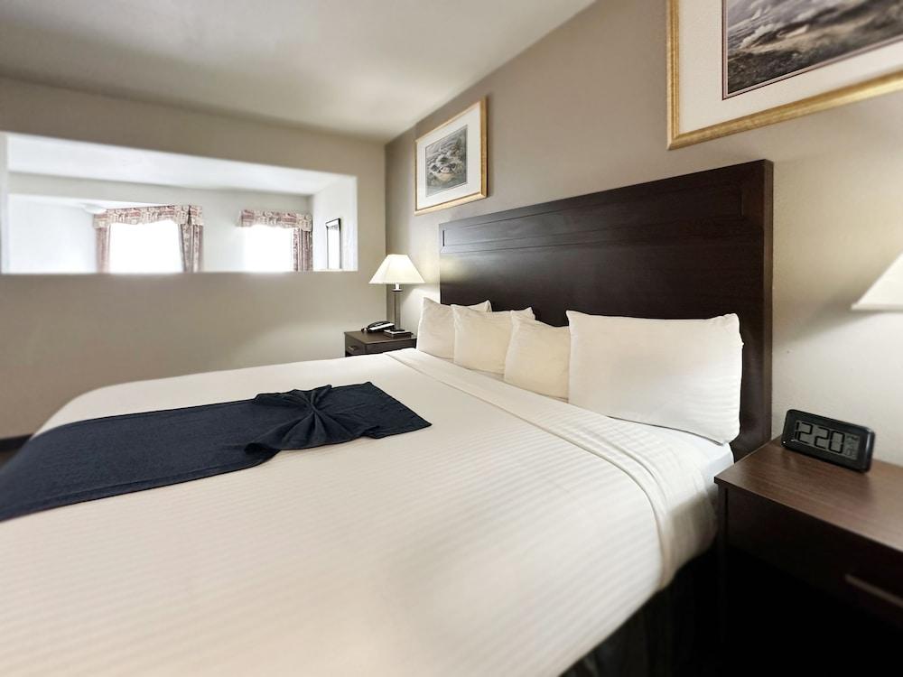 BayVue Hotel, Resort and Suites photo 71