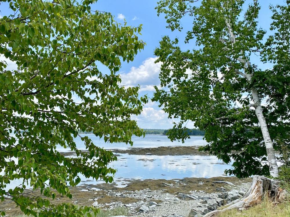 Island View Hotel Bar Harbor photo 12