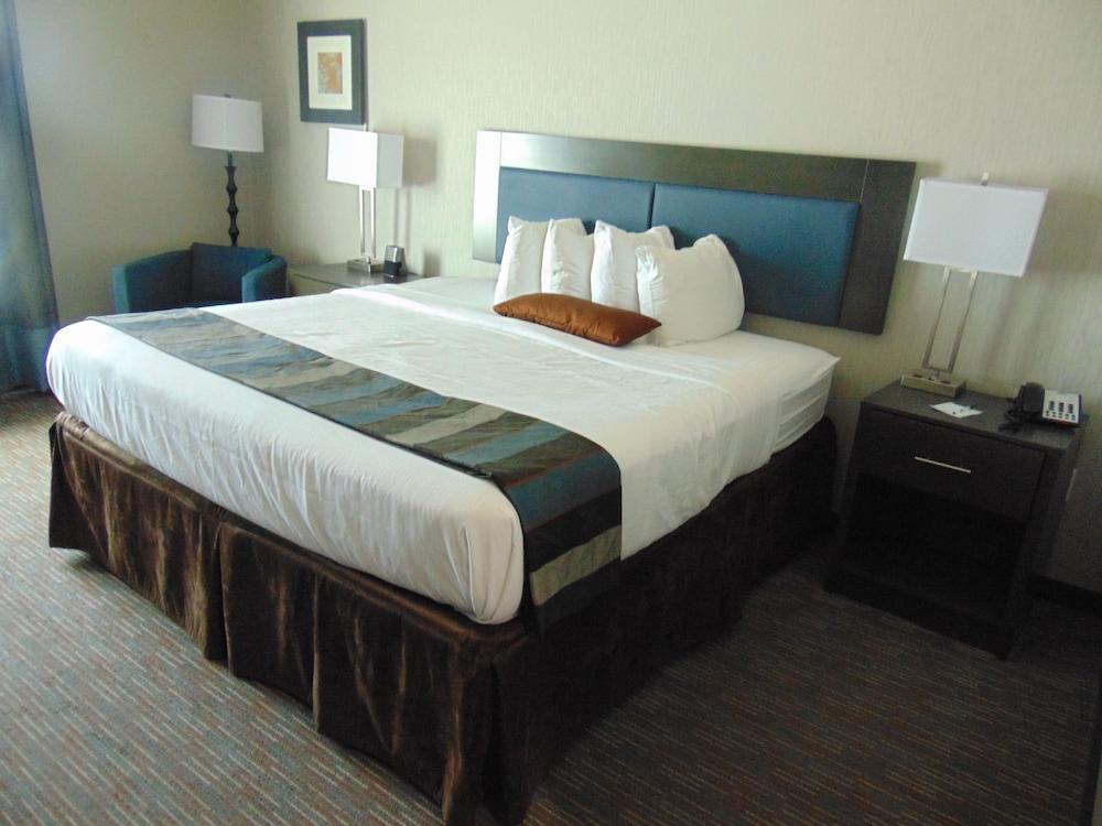 Wingate by Wyndham Lubbock near Texas Tech Univ. Medical Ctr photo 7