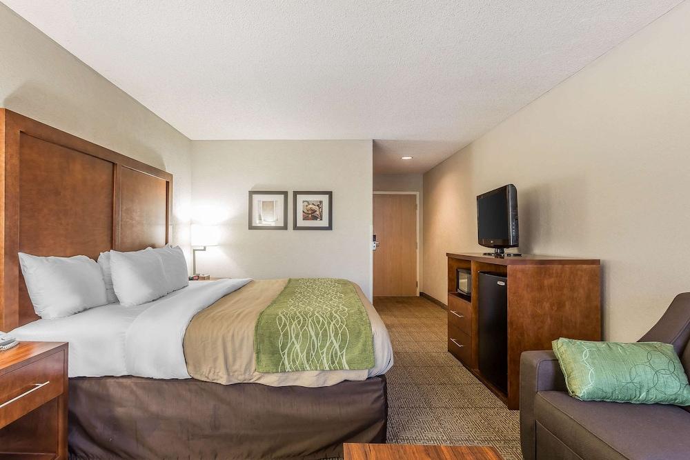 Quality Inn Summerville - Charleston photo 29