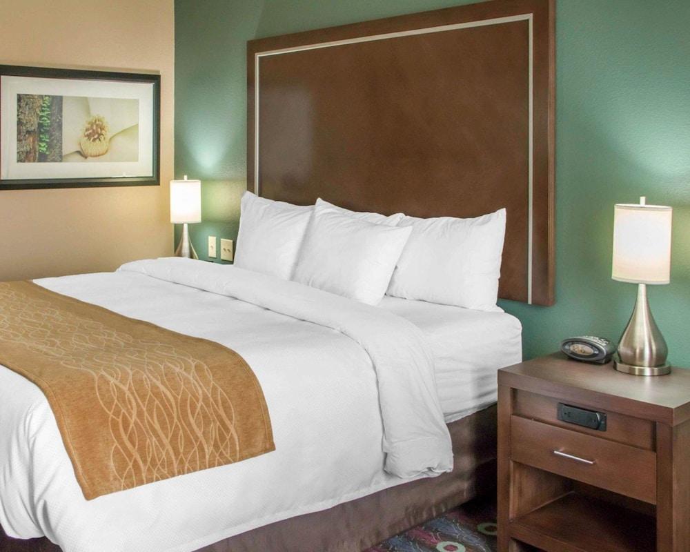 Comfort Inn & Suites San Marcos near Outlet Mall photo 30