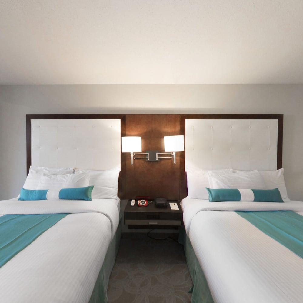 Aqua Blue Hotel photo 11
