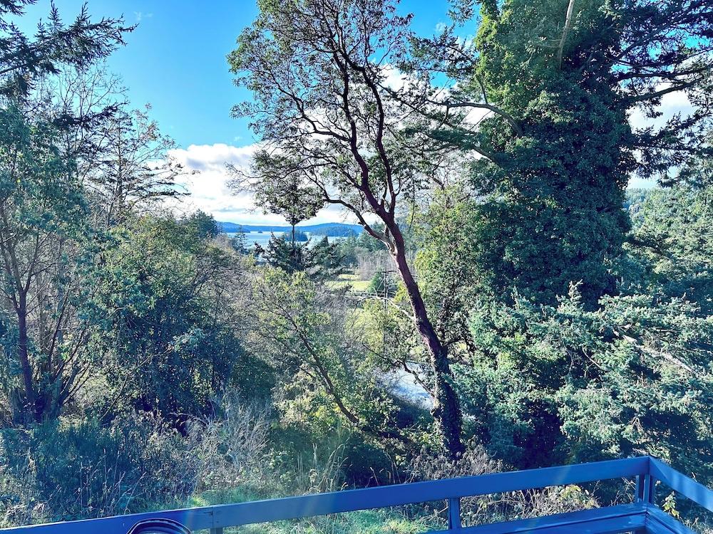 Deer Harbor Cottages photo 33